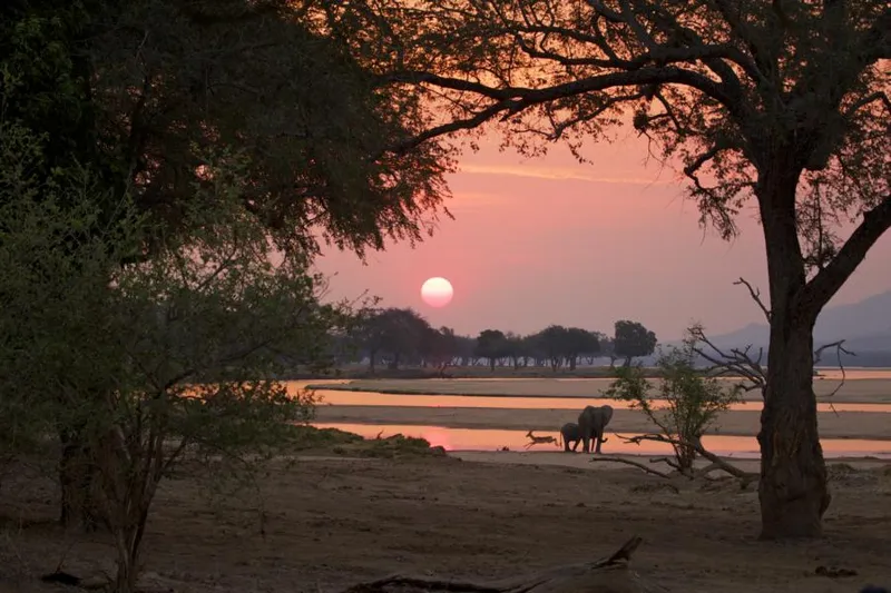 Elefantenherde am Wasserloch im Hwange Nationalpark in Simbabwe bei abendlichem Licht