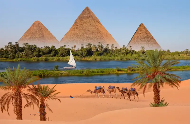 Sphinx von Gizeh vor der Chephren-Pyramide im warmen Morgenlicht bei einer privat geführten Ägyptenreise