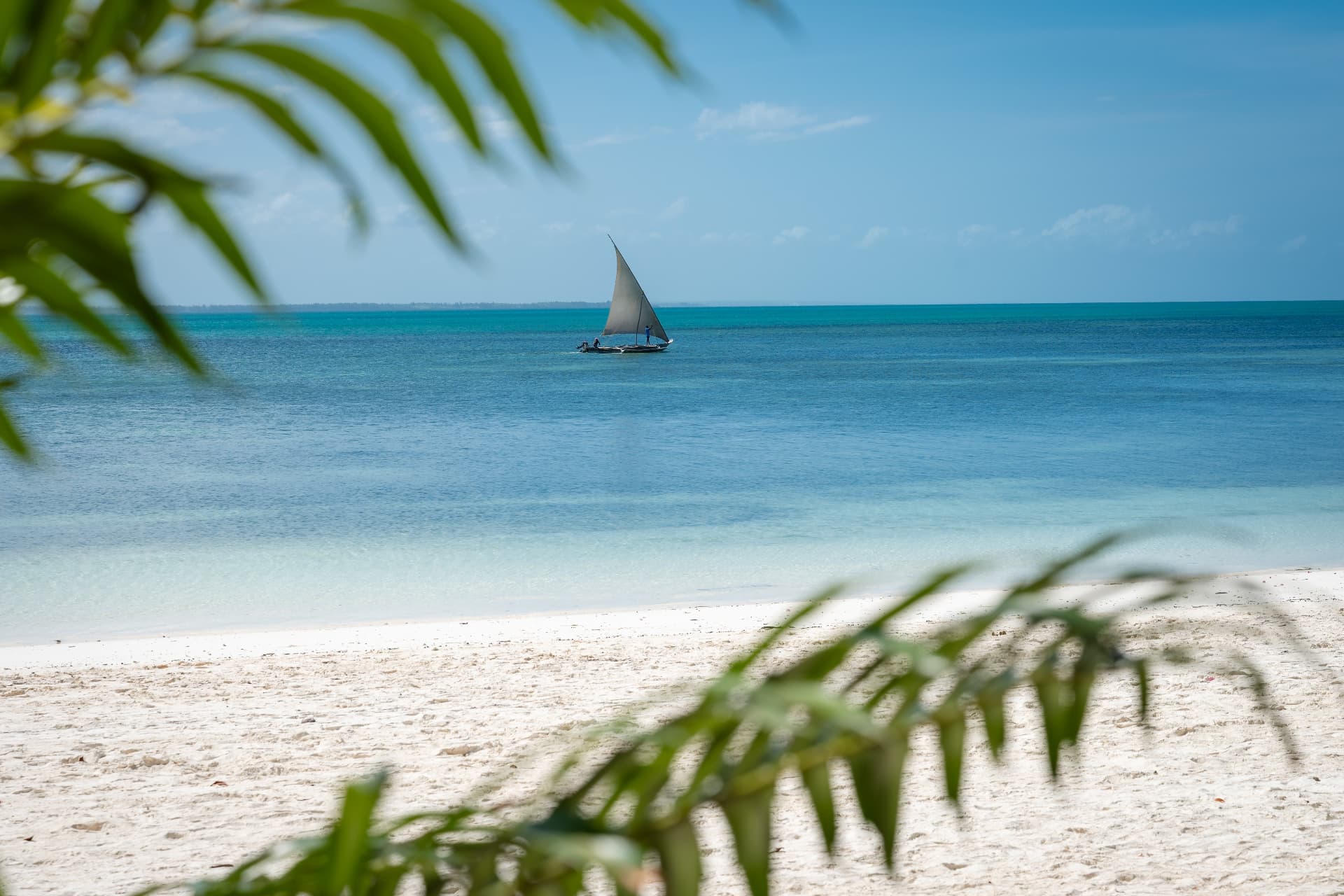 Traditionelle Dhow auf dem türkisblauen Indischen Ozean vor weißem Palmenstrand in Tansania als Ziel einer Safari-und-Strand-Reise