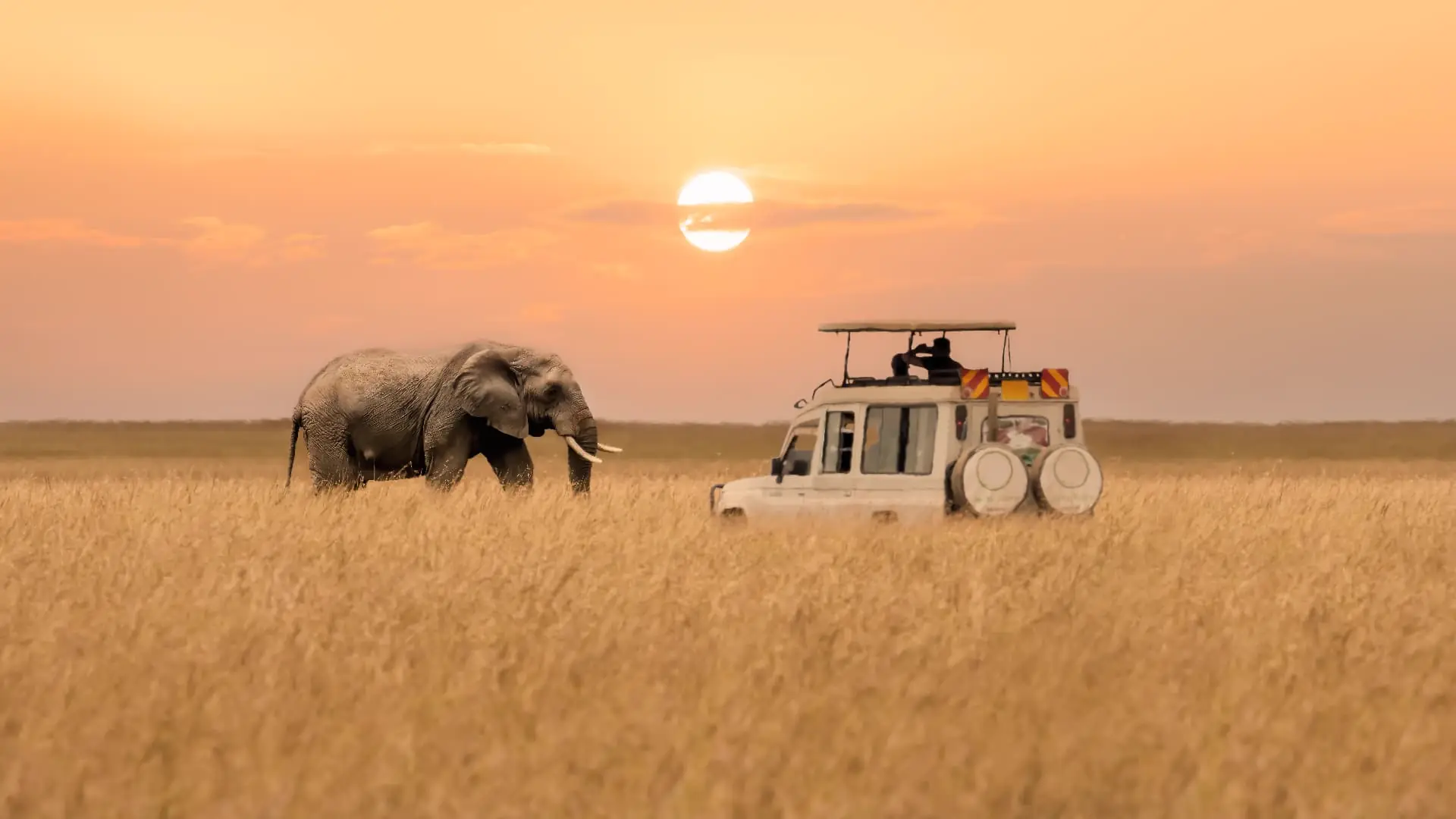Elefant im Abendlicht vor einem Safarifahrzeug im Krüger Nationalpark in Südafrika