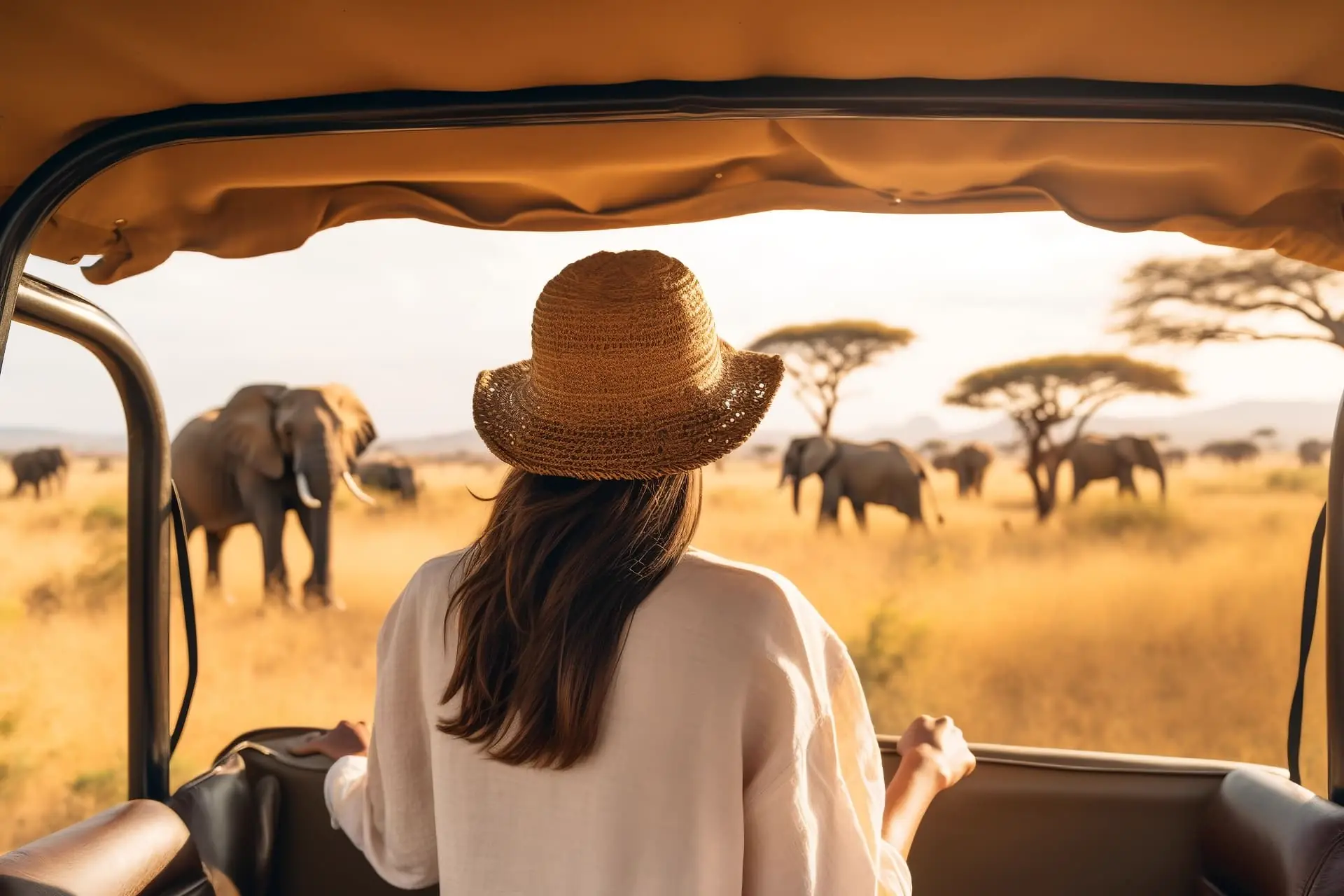Elefantenherde zieht während einer Pirschfahrt im Eastern Cape in Südafrika durch offene Savanne