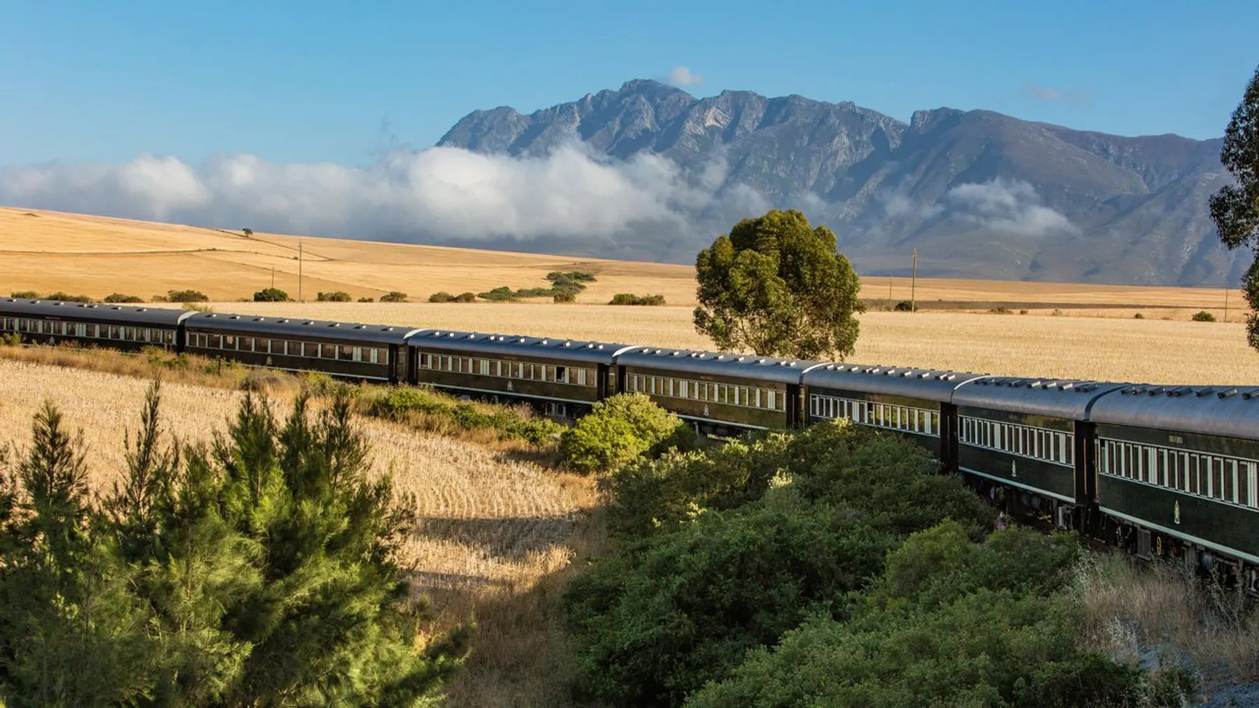 Rovos Rail Luxuszug fährt durch goldene Getreidefelder vor den Bergen des Western Cape in Südafrika