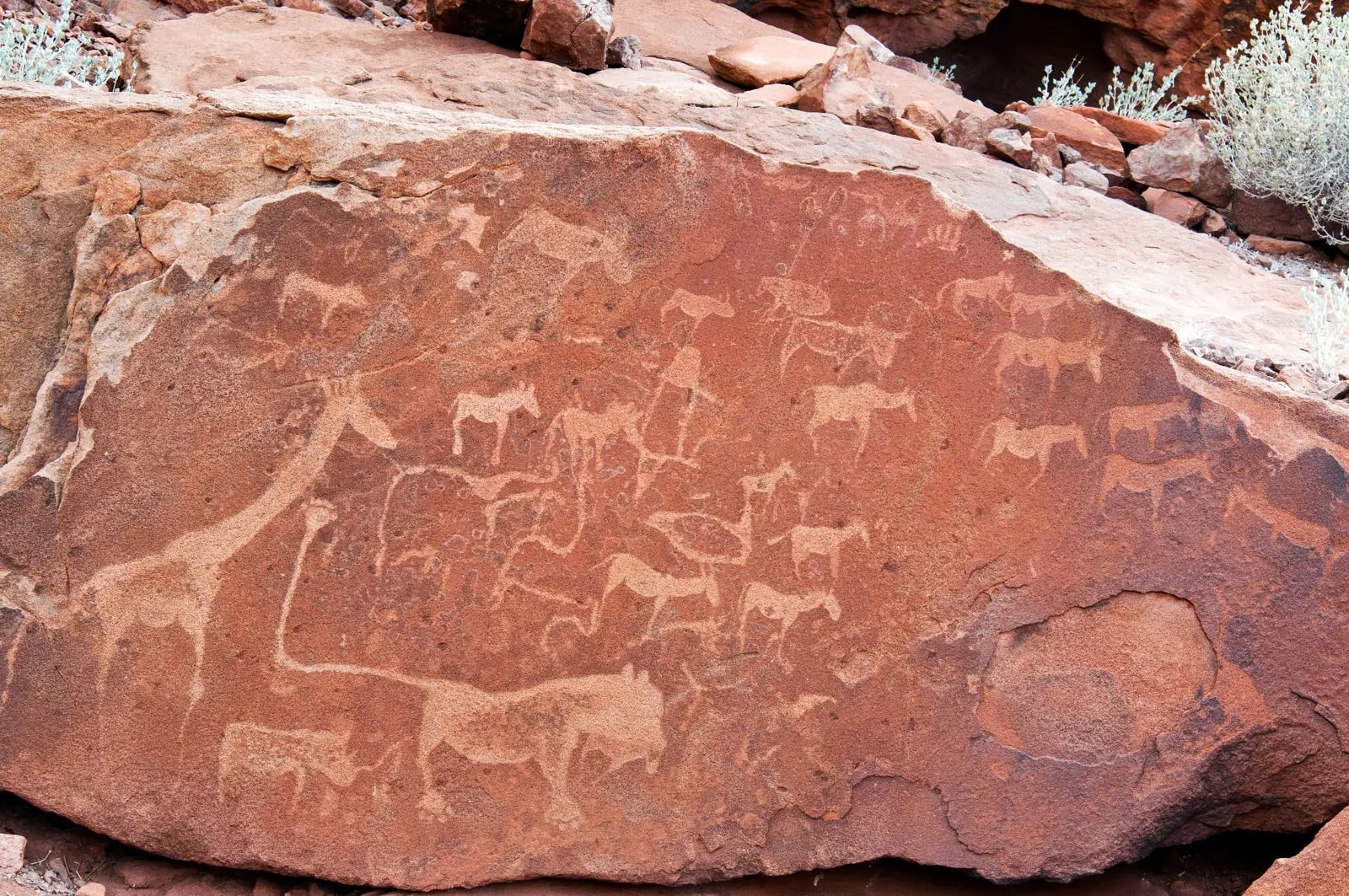 Prähistorische Felsgravuren mit Giraffen und Antilopen auf rotem Sandstein bei Twyfelfontein im Damaraland in Namibia