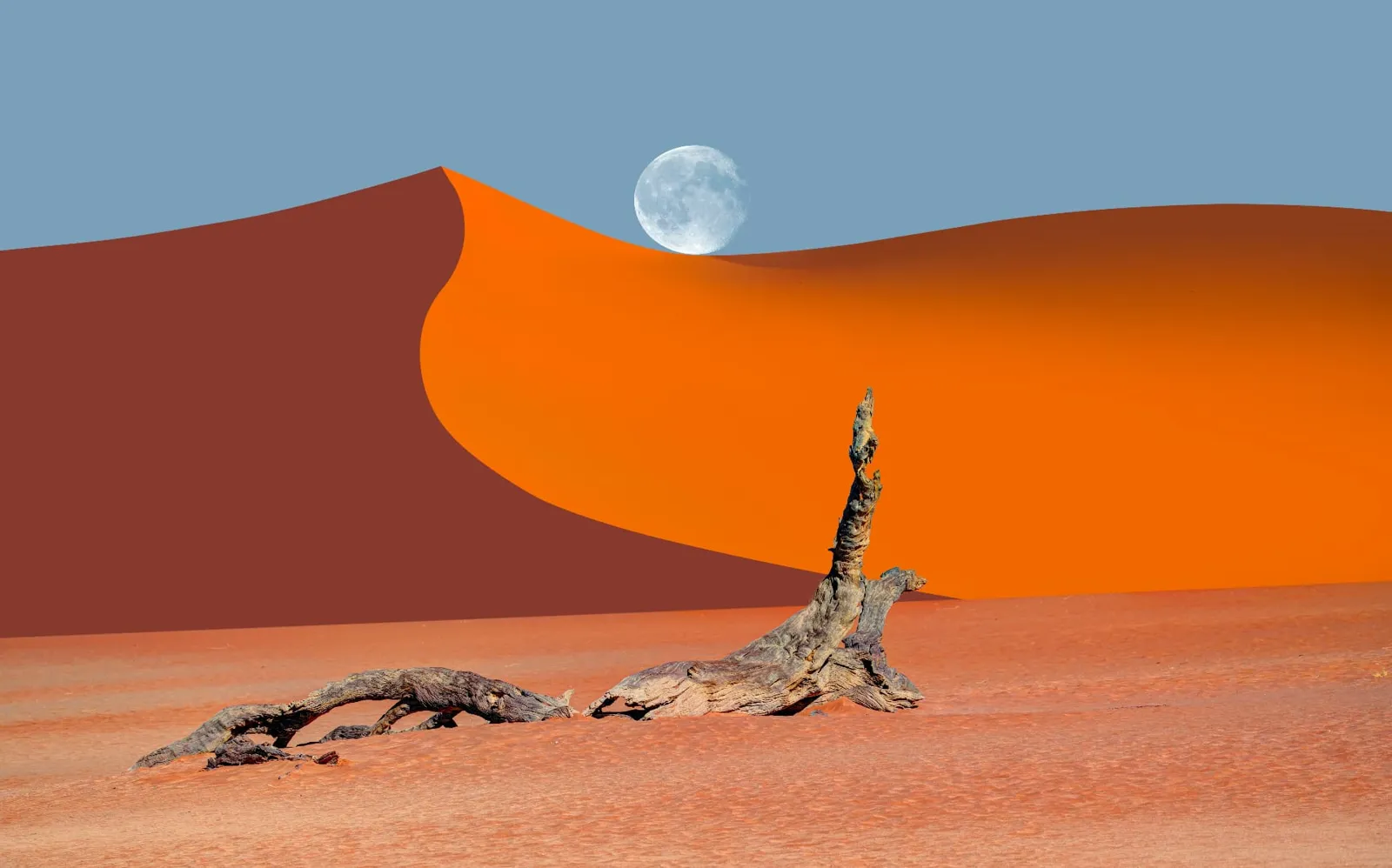 Abgestorbener Baumstamm im Deadvlei bei Sossusvlei in Namibia vor orangefarbener Düne mit Mond am Himmel