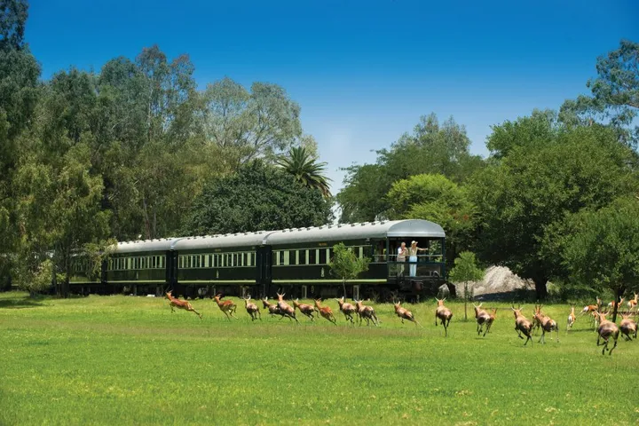 Rovos-Rail-Zug in der Landschaft Südafrikas – Bahnreise als Ergänzung einer Safari im südlichen Afrika