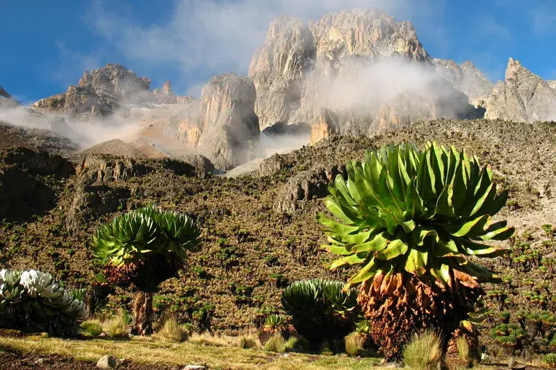 Blick auf den Mount Kenya im kenianischen Hochland – Landschaftsmotiv zum Laikipia-Safaribeitrag in Kenia