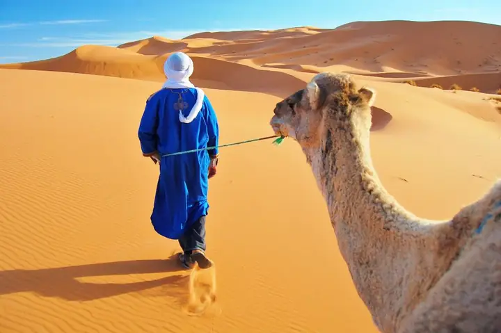Berberführer mit Dromedar in den roten Sanddünen von Erg Chebbi bei Merzouga in Marokko