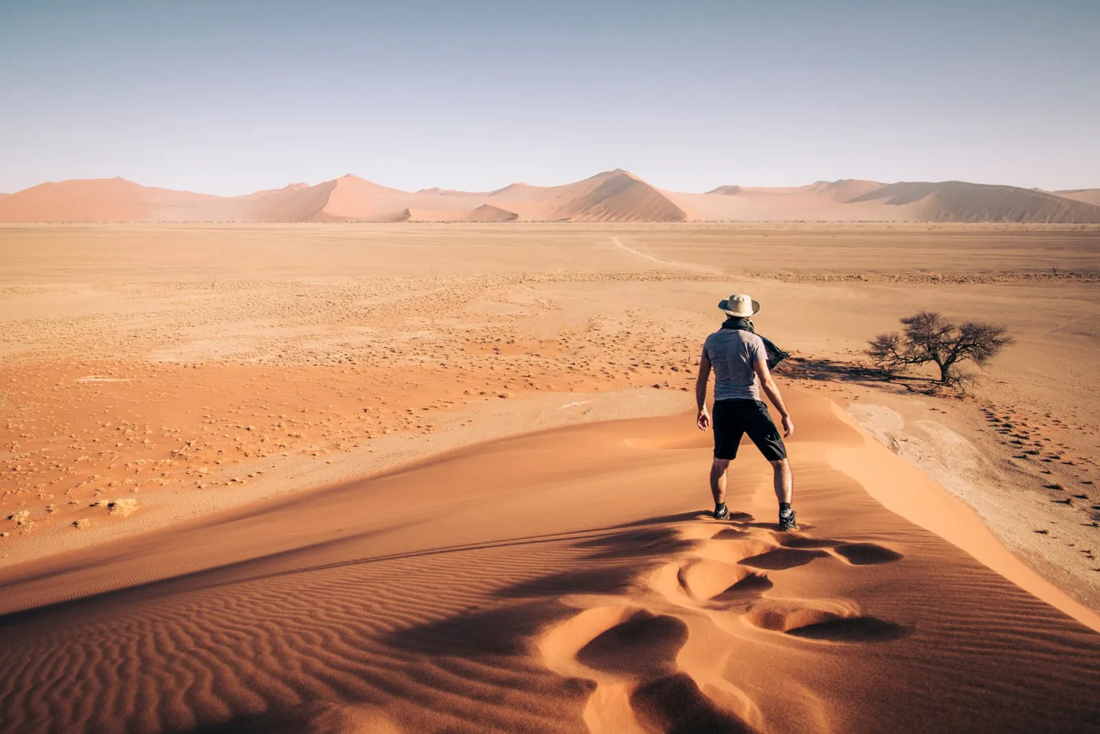 Wanderer auf einem Dünenkamm mit Blick über das Dünenmeer der Namib bei Sossusvlei in Namibia